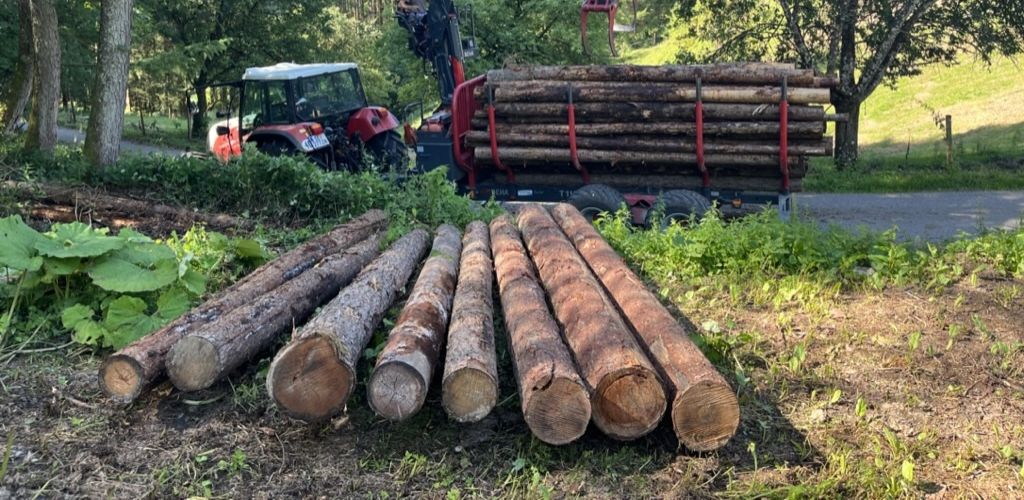 Rundholz Lärche Kleinhagauer_cropped.jpg